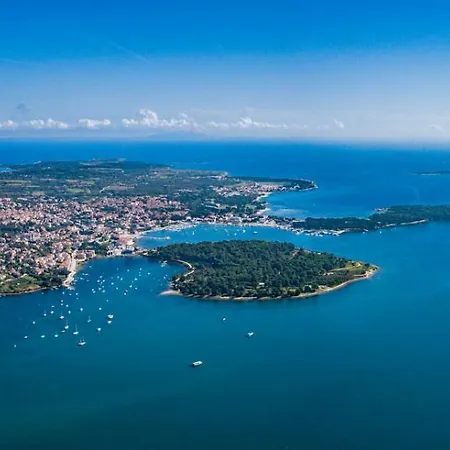 Appartamento Dario B